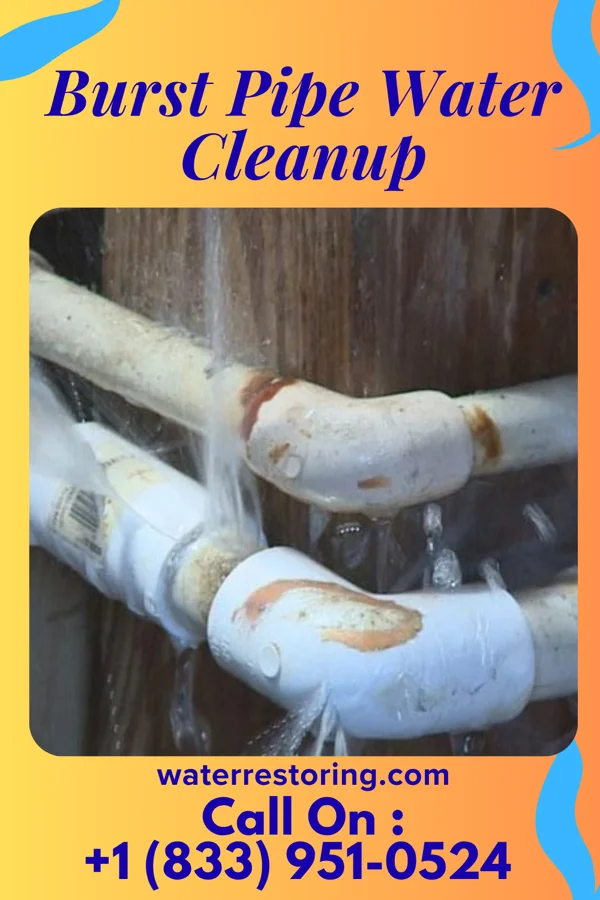 Burst Pipe Water Cleanup in Ship Bottom, NJ