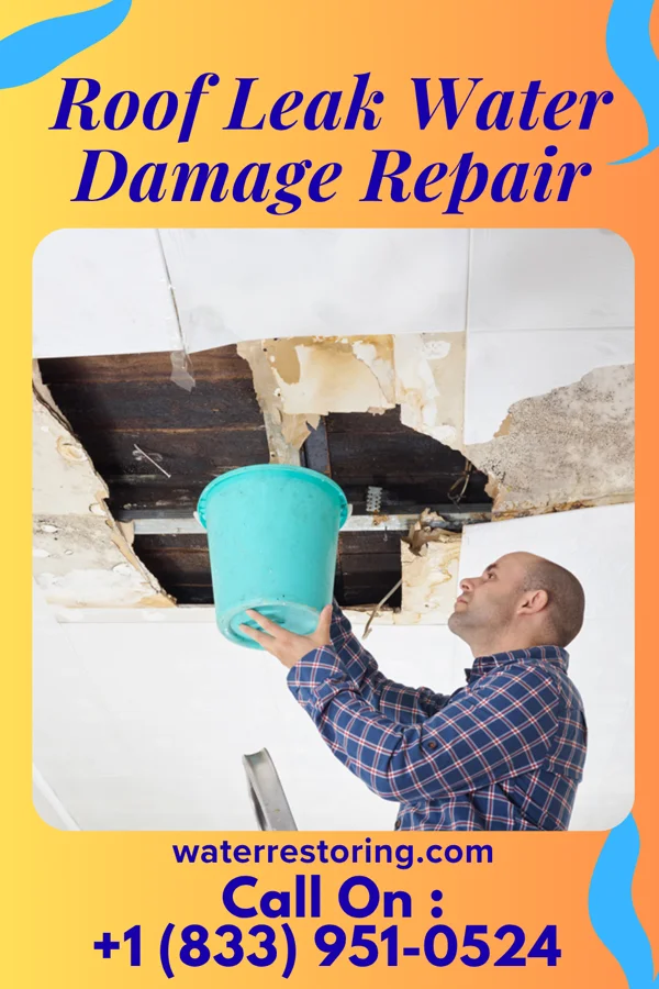 Roof Leak Water Damage Repair in Ship Bottom, NJ
