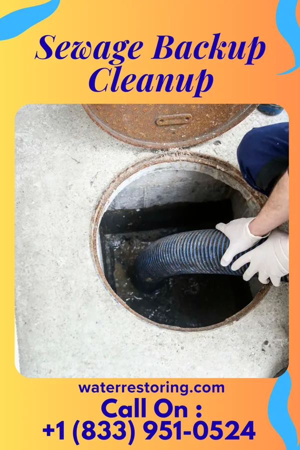 Sewage Backup Cleanup in Ship Bottom, NJ